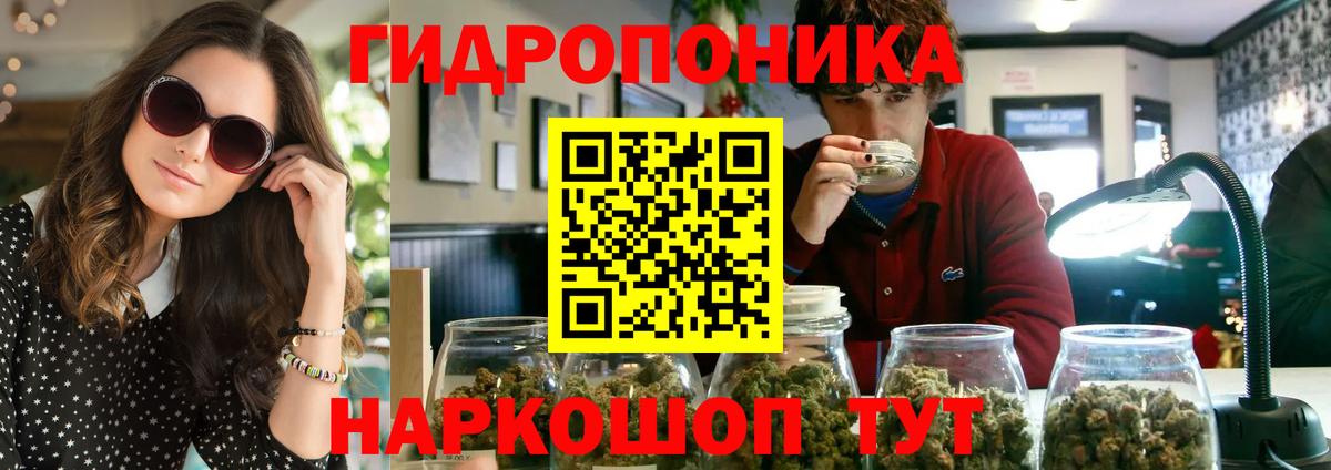 Канабис OG Kush  Вход с VPN  Конопля семена  Бошки Шишки White Widow  Добрянка 